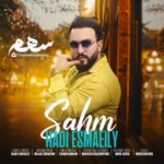 آهنگ هادی اسماعیلی بنام سهم